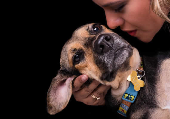 Cсимпатичная черная собака в Mannimal студия