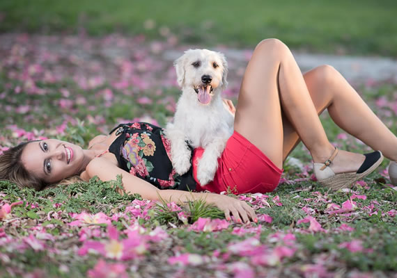 белая собака, лежащая на траве