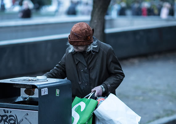 Behoteguy Photo Art  Chiguagua inside a bag