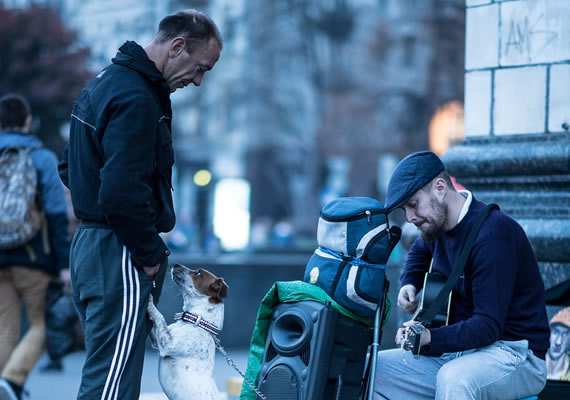 Behoteguy Photo Art  Street musician with his dog